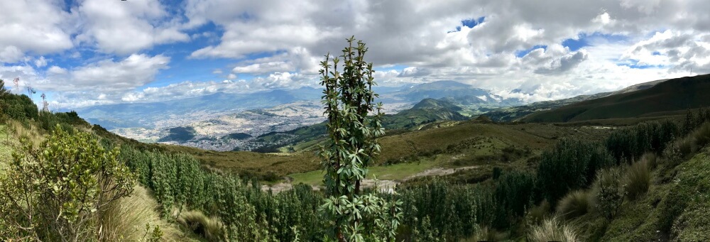 Quito