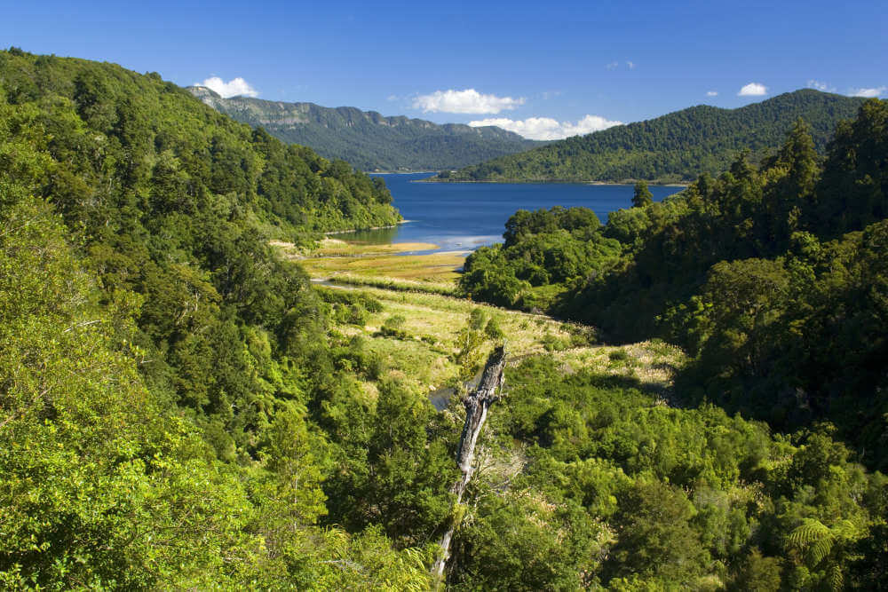 Te Urewera National Park