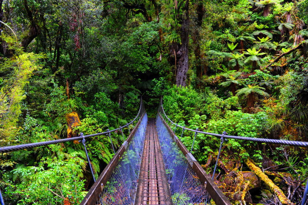 Te Urewera National Park