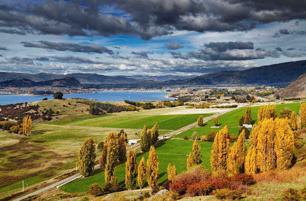 Wanaka