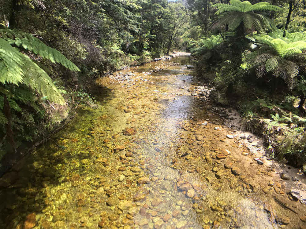 Abel Tasman National Park