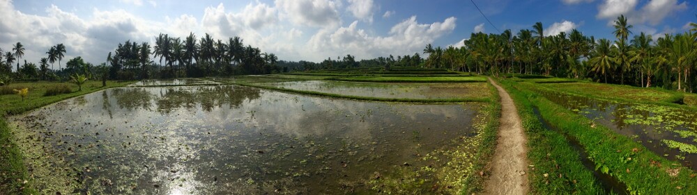 Ubud