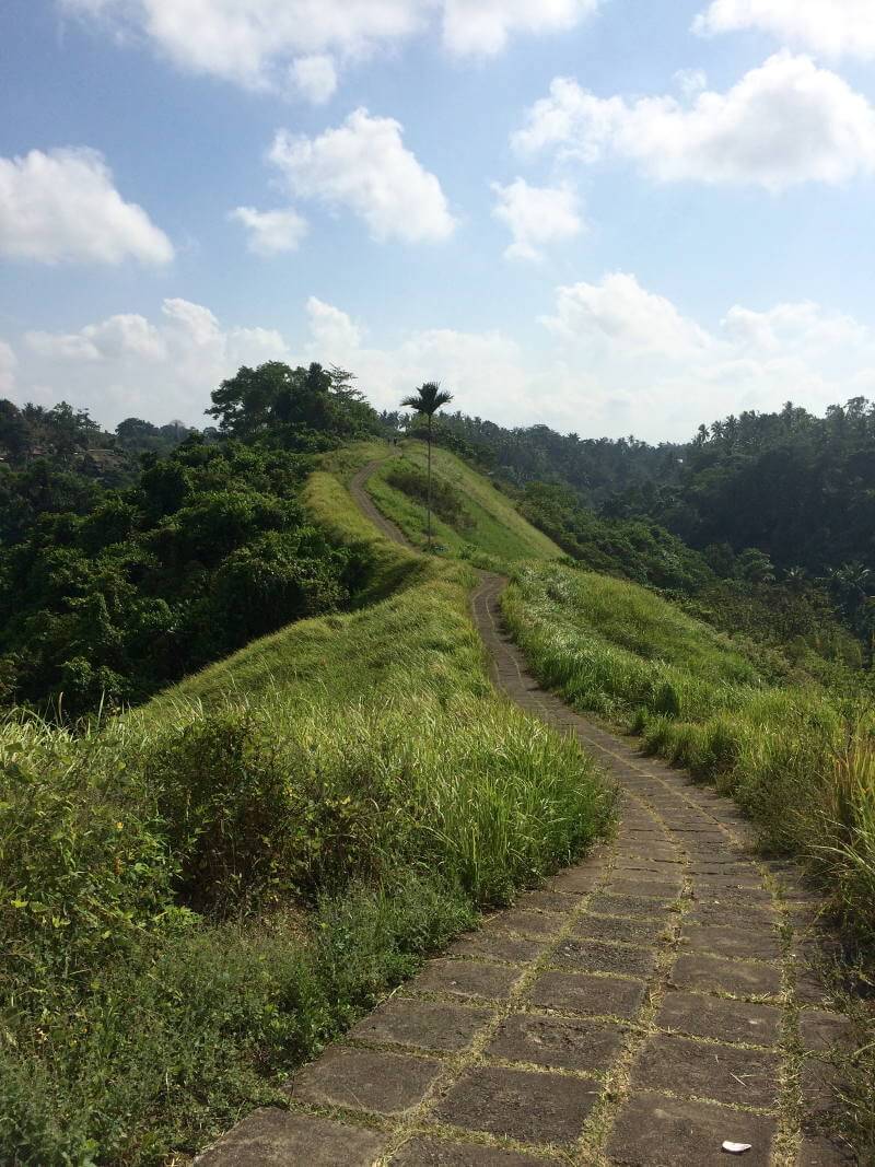 Campuhan Ridge Walk