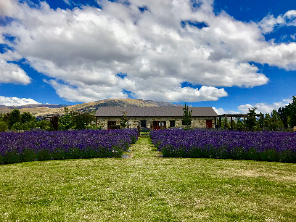 Wanaka