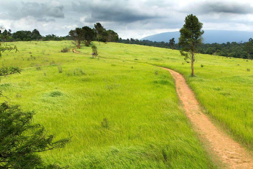 Khao Yai