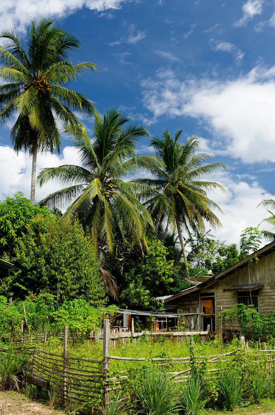 Kalimantan