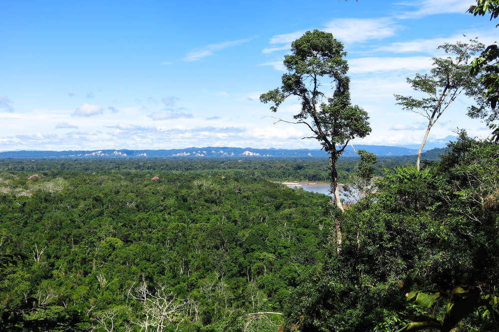 Madidi National Park