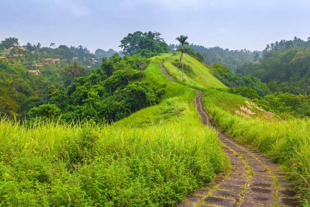 Eilanden van Indonesië