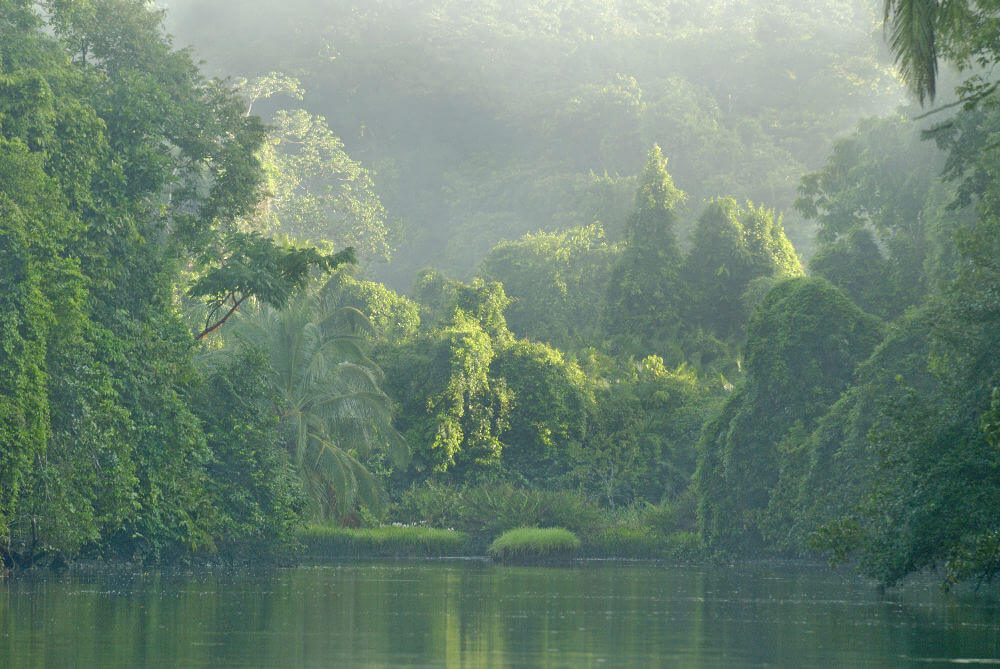 Corcovado National Park