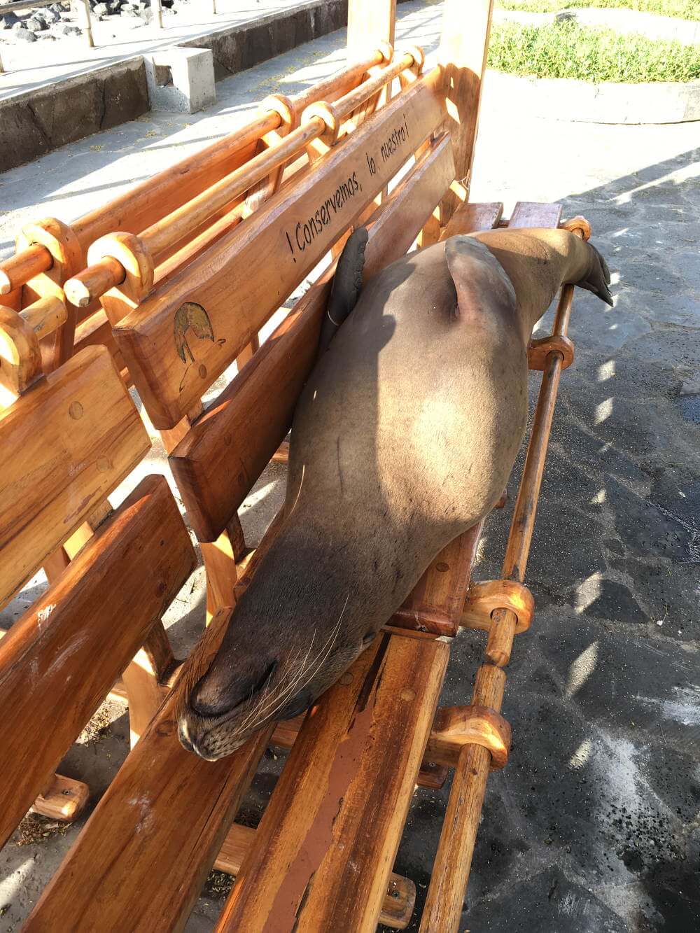 Vrijwilligerswerk op de Galapagos eilanden