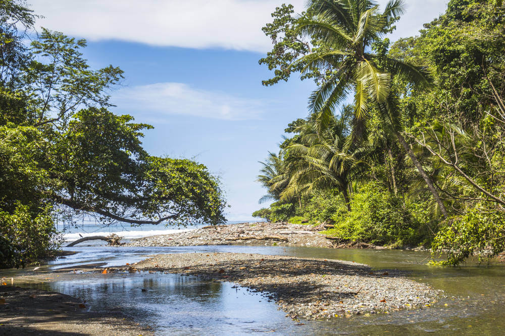 Corcovado National Park