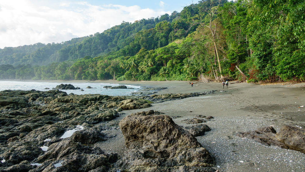 Corcovado National Park