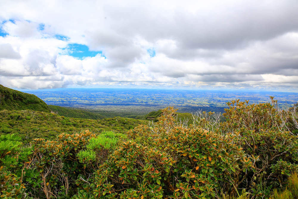 Egmont National Park