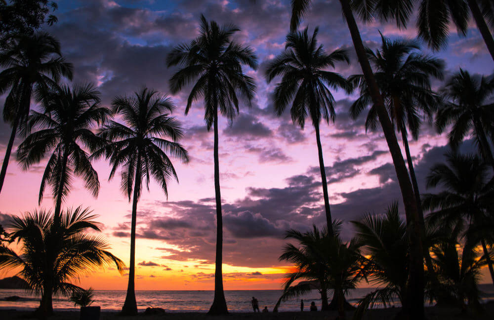 Manuel Antonio National Park