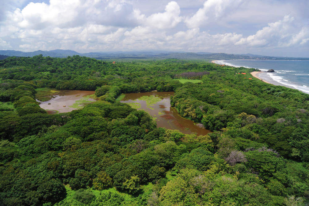 Tamarindo