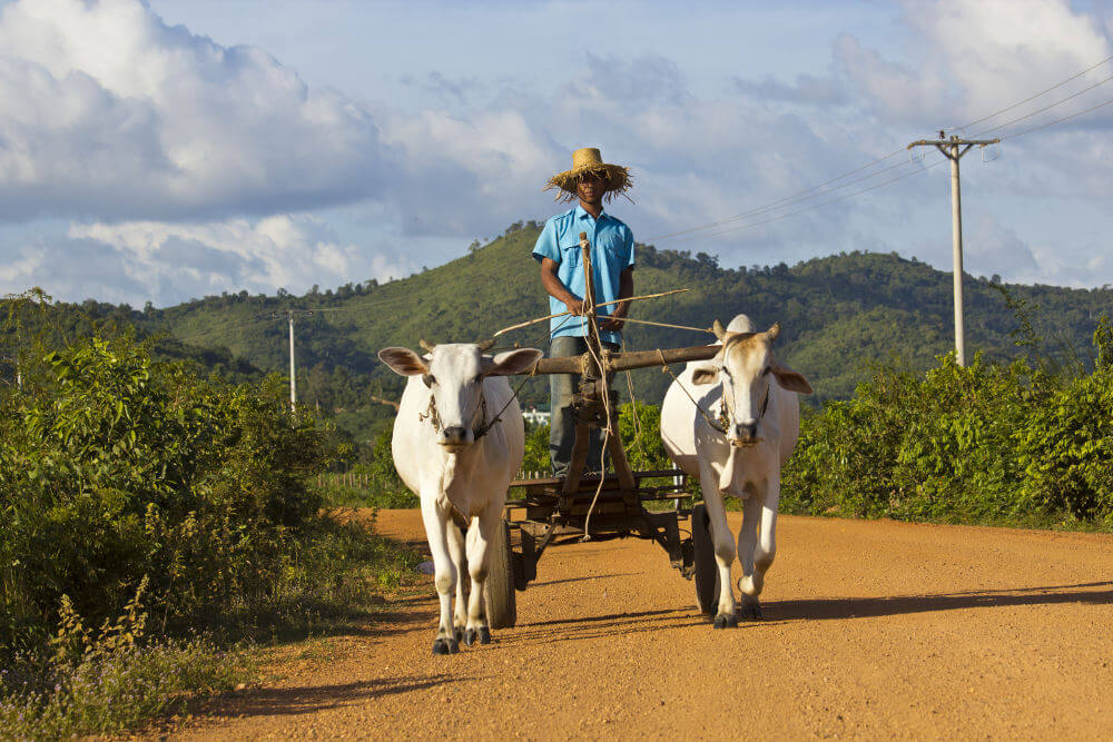 Kampot