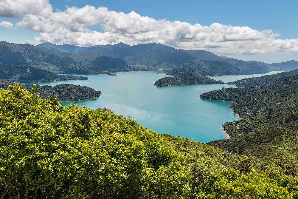 Marlborough Sounds