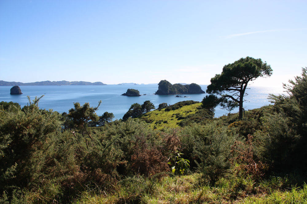 Coromandel