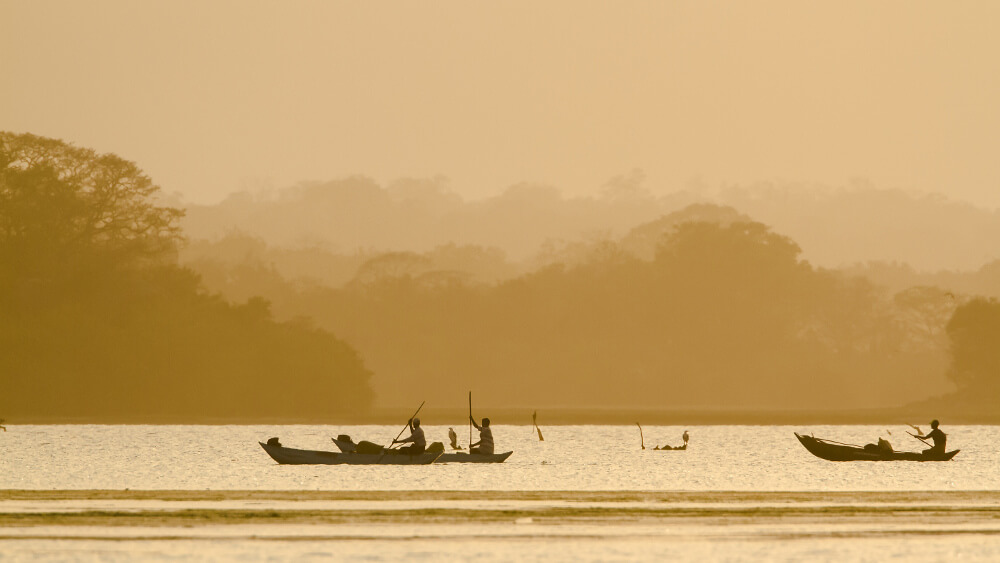 Arugam Bay