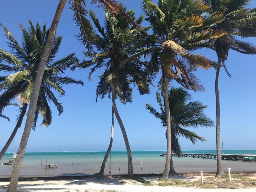 Caye Caulker