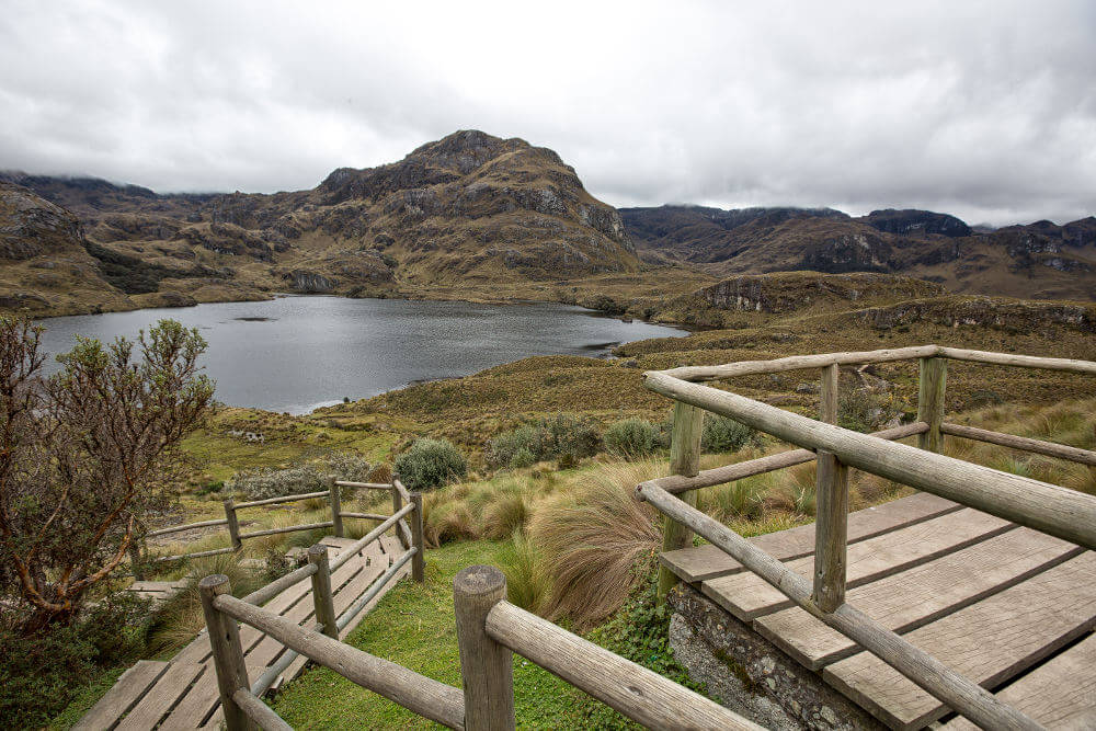 Cajas National Park