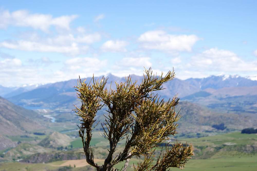 Queenstown