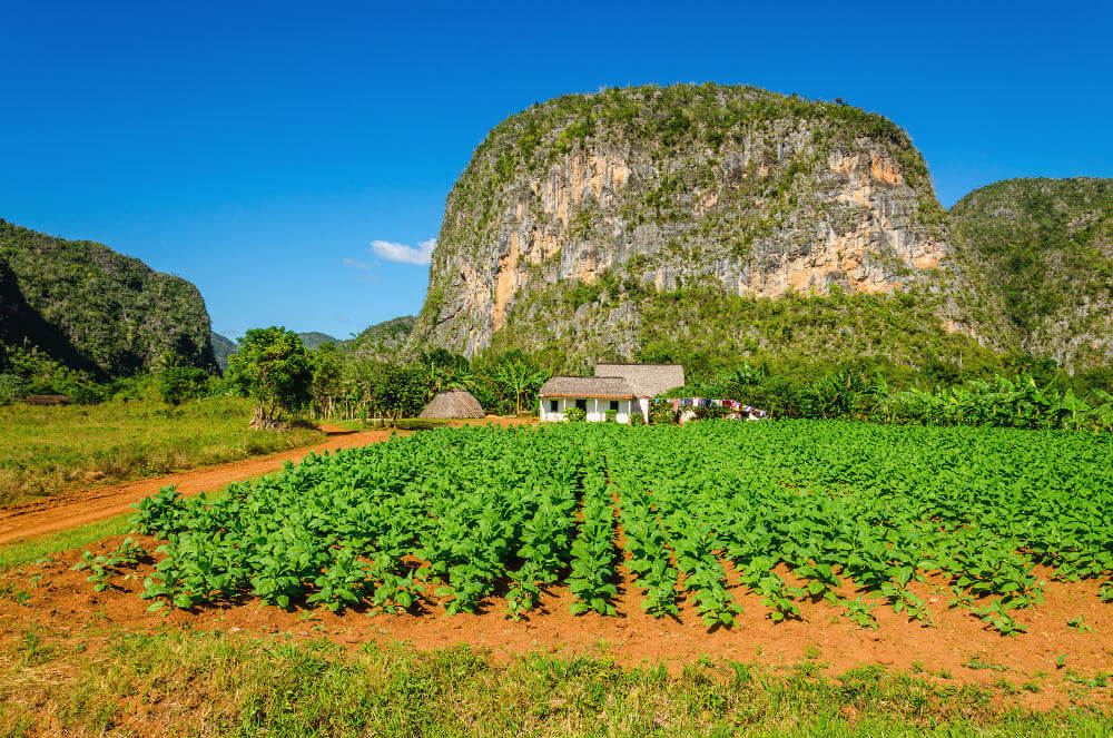 Valle de Vinales