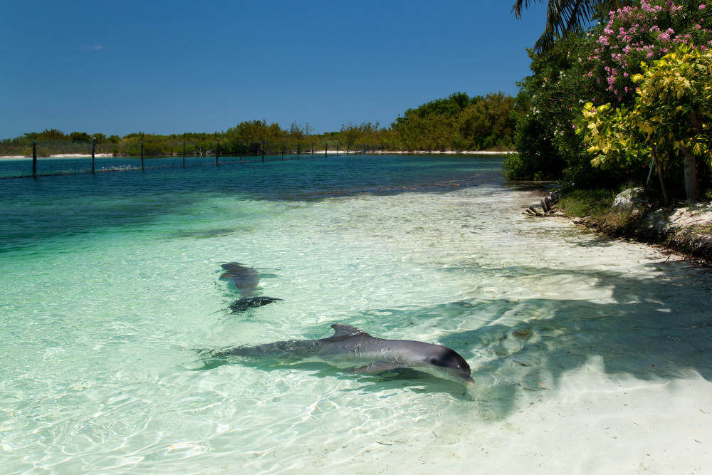 Varadero