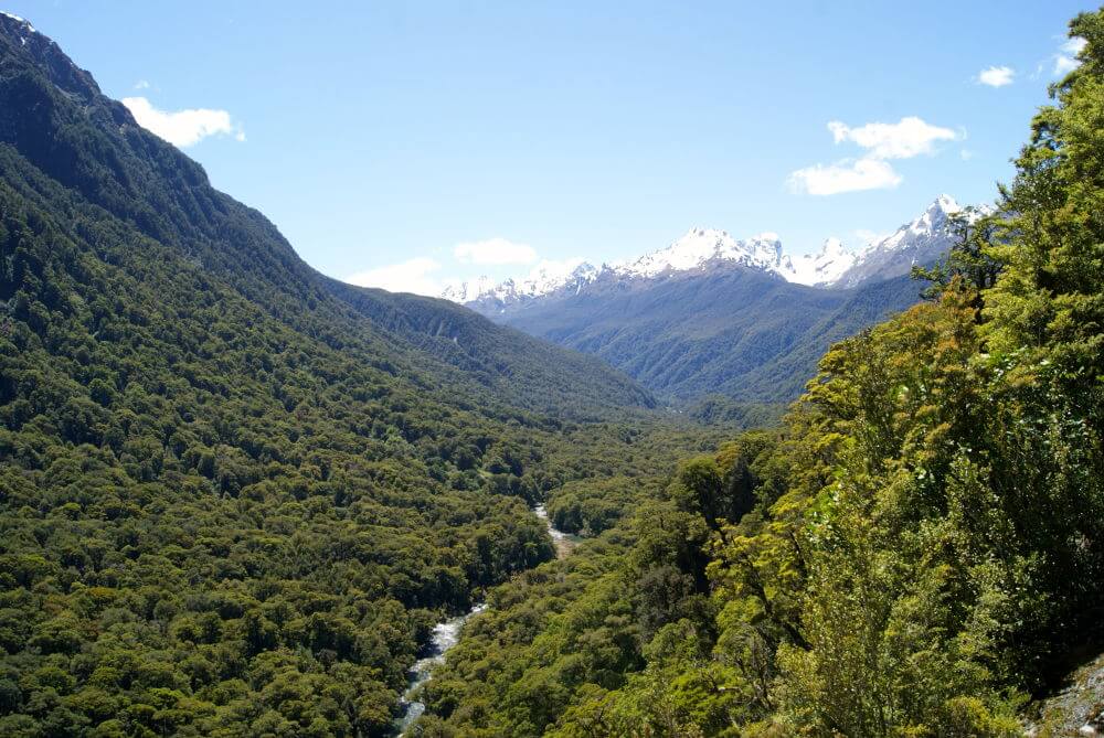 Hollyford Valley, Nieuw-Zeeland