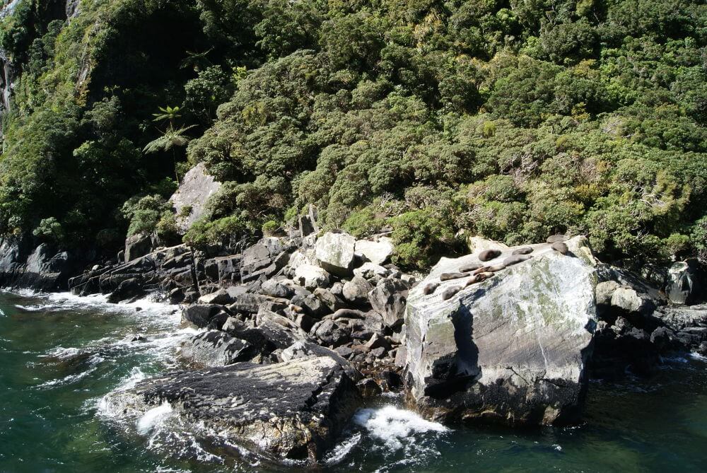 Milford Sound