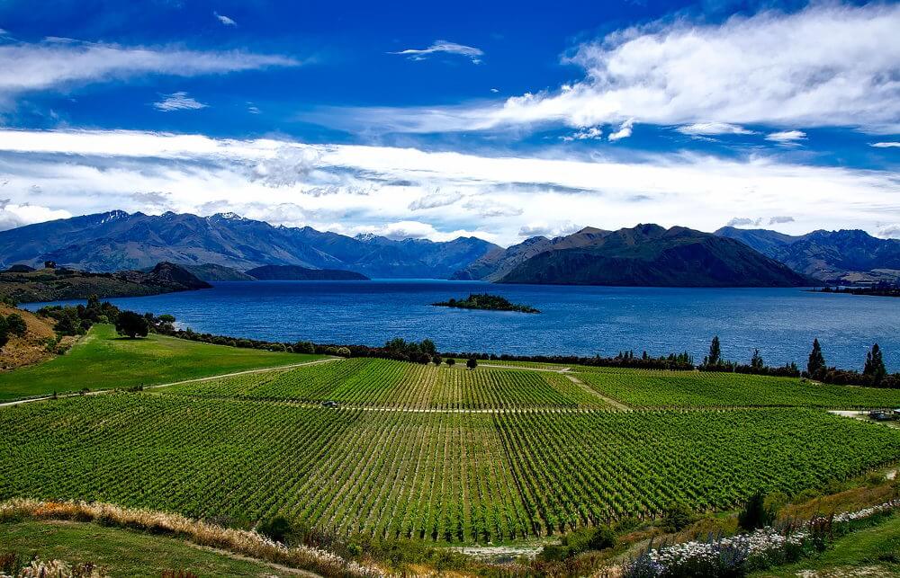 Wanaka