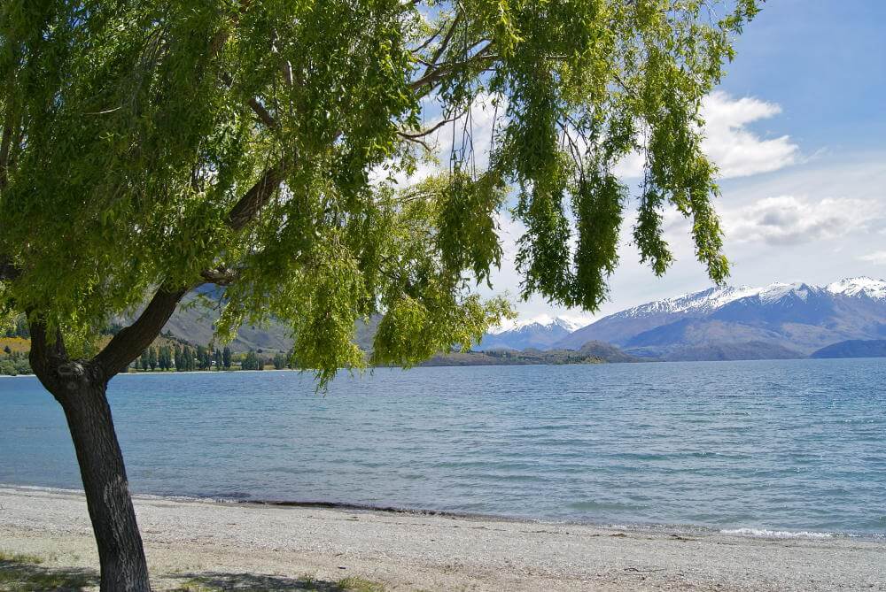 Wanaka