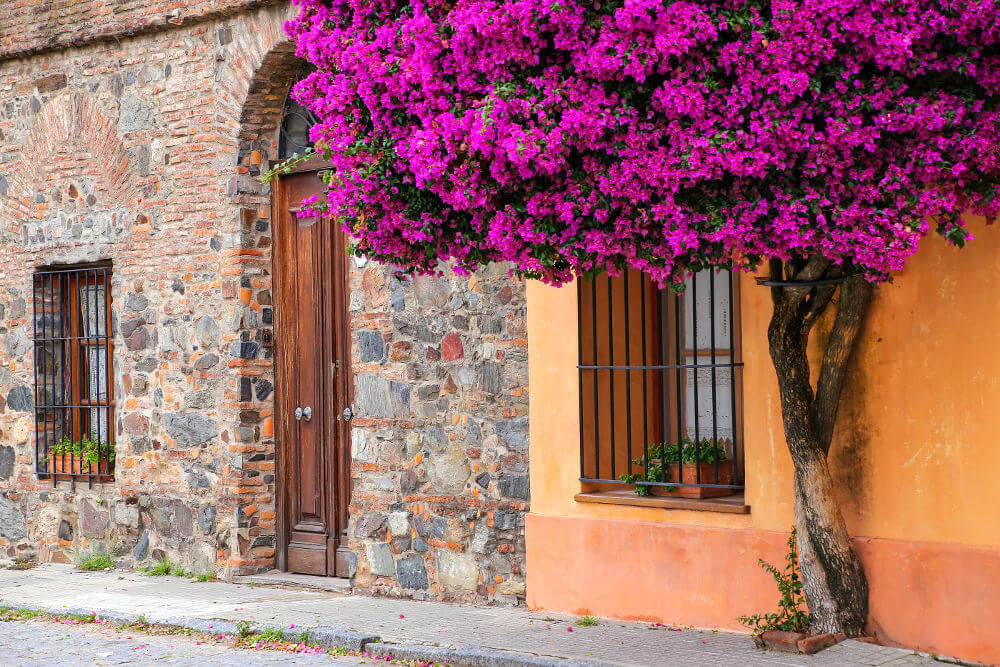 Barrio Historico