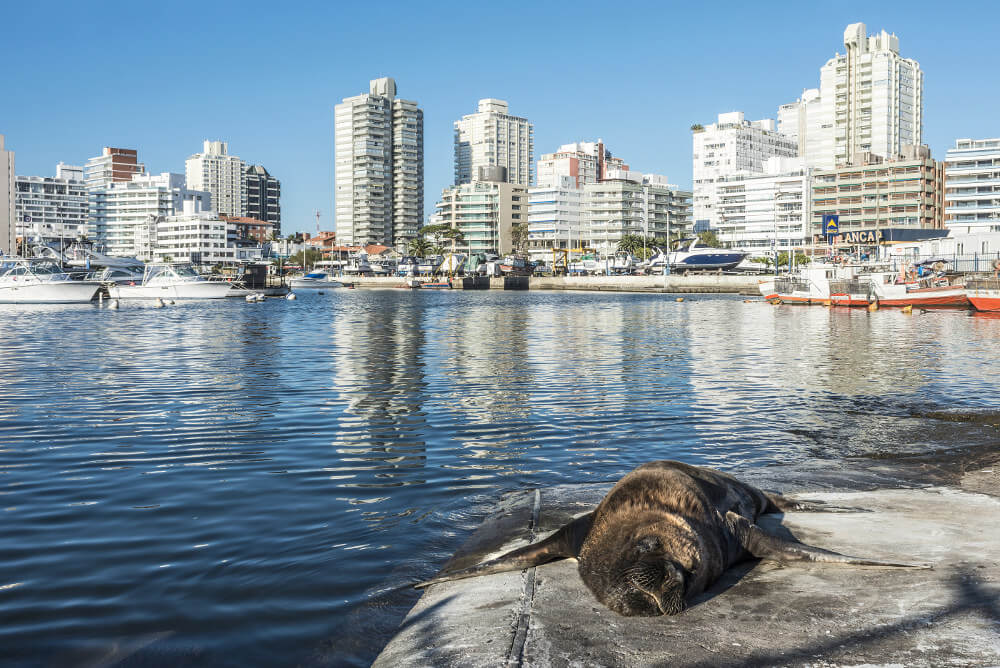 Punta del Este