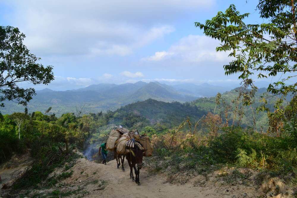 Hike naar Ciudad Perdida in Colombia