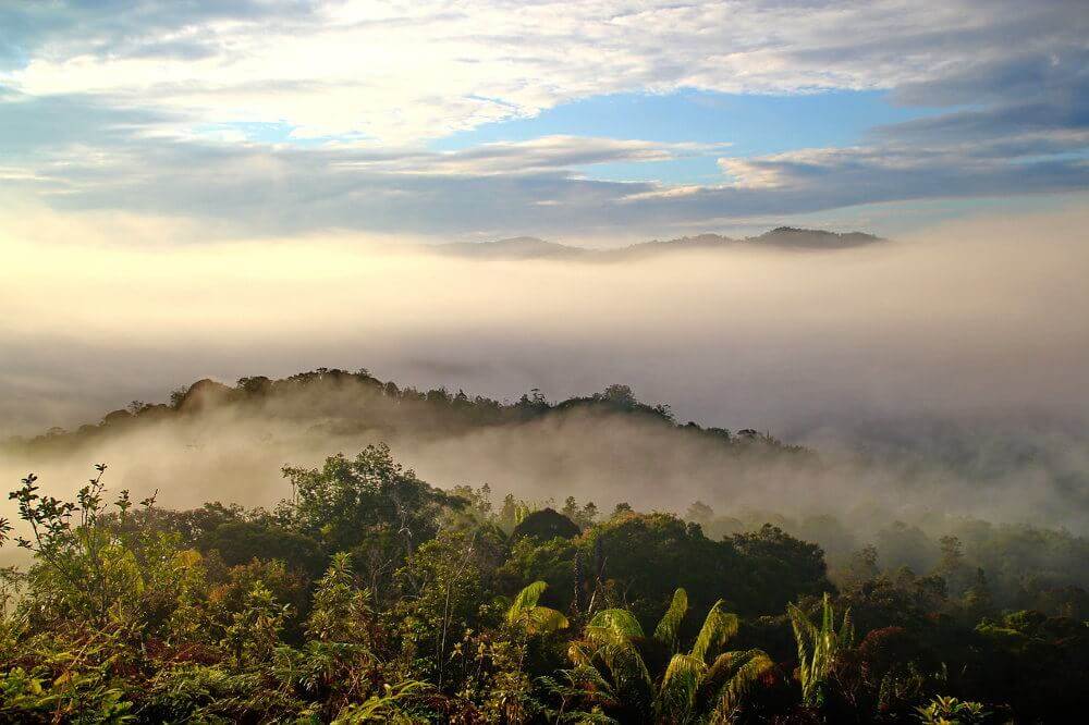 Borneo