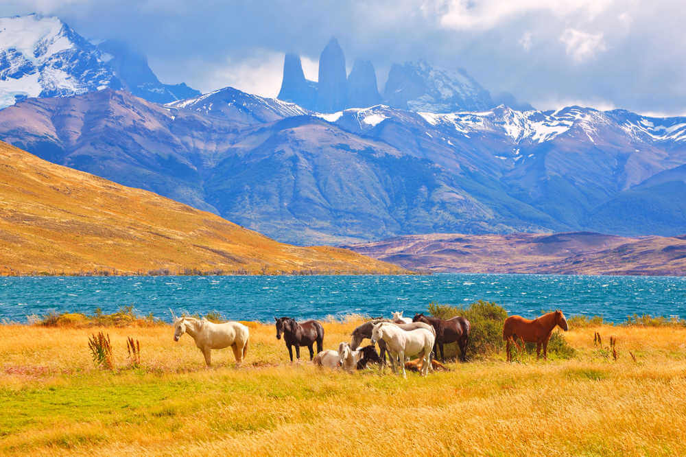 Torres del Paine, Laguna Azul