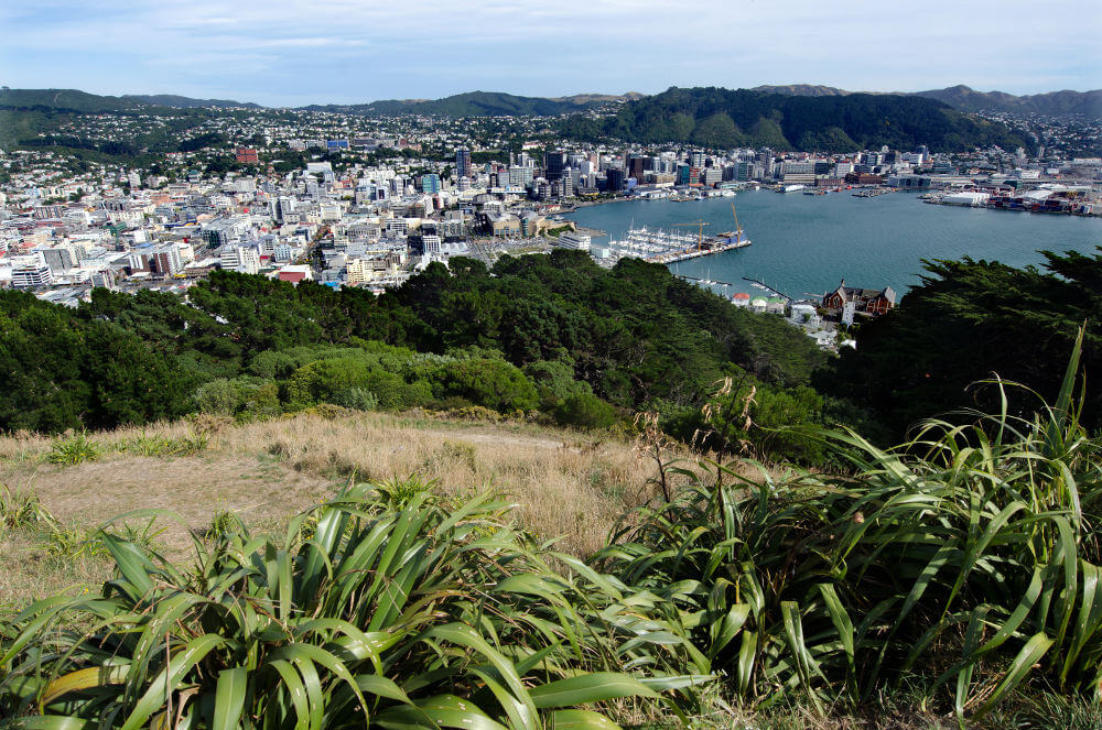 Wellington