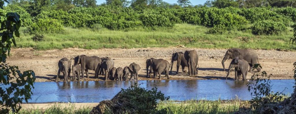 Kruger National Park