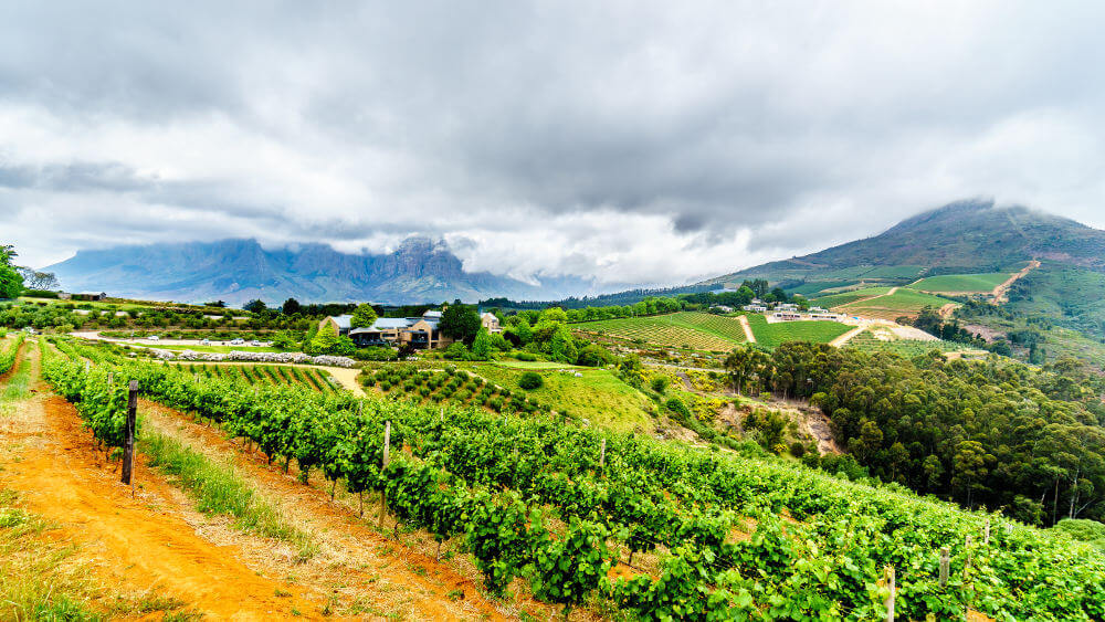 Stellenbosch