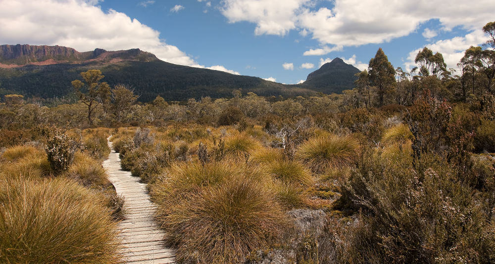 Tasmanië