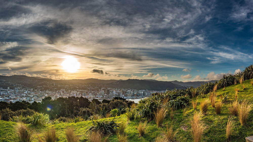 wellington