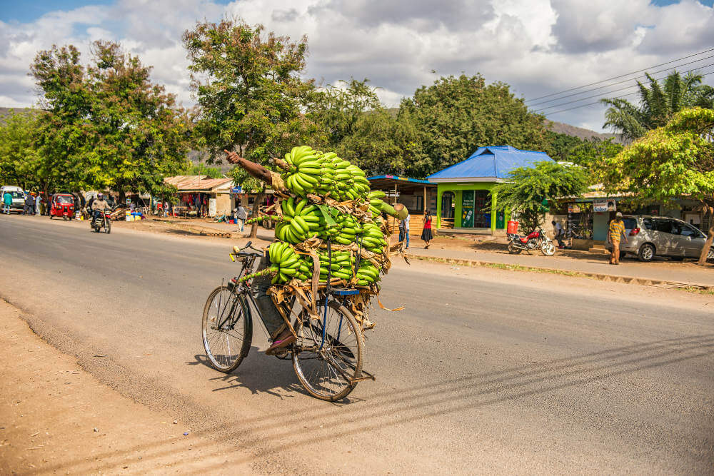 Budget voor Tanzania