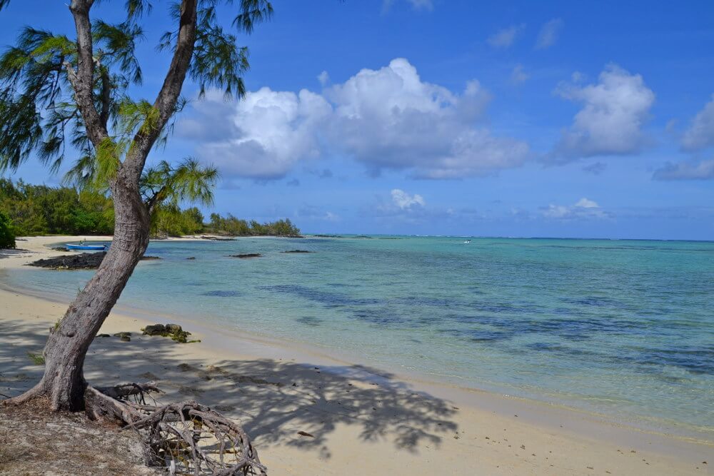 Ile aux Cerf