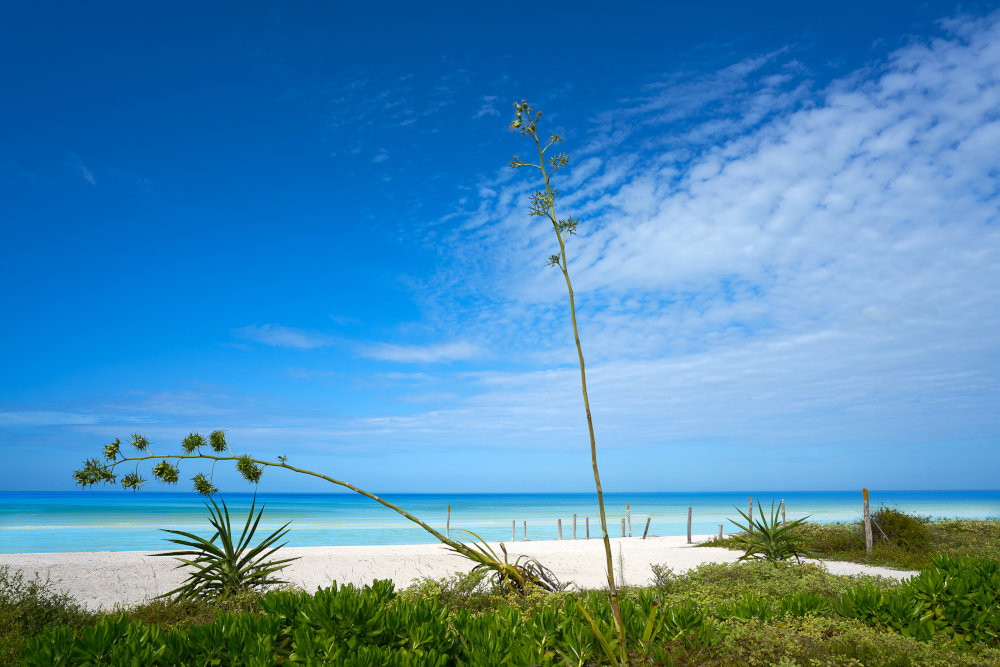 Stranden van Isla Holbox