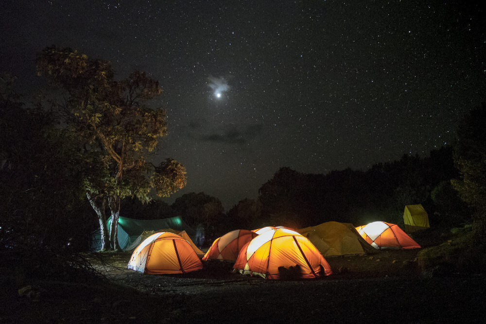 Kilimanjaro