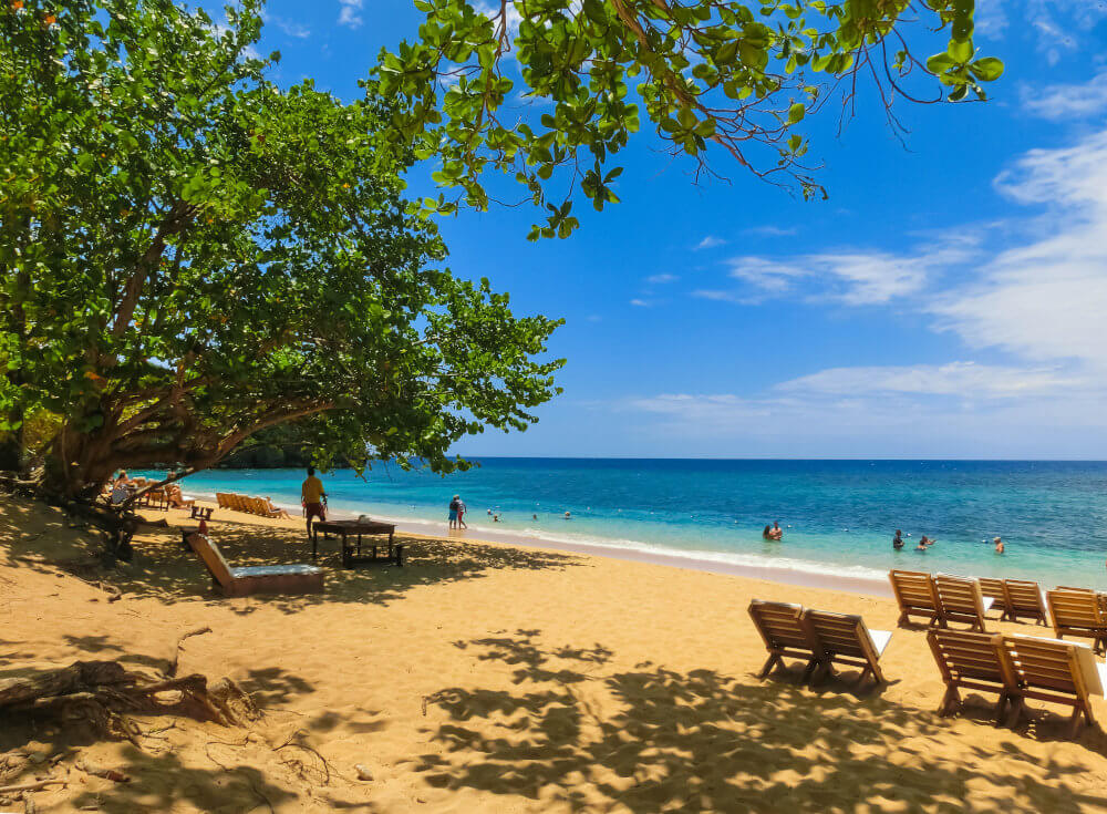 Bamboo Beach