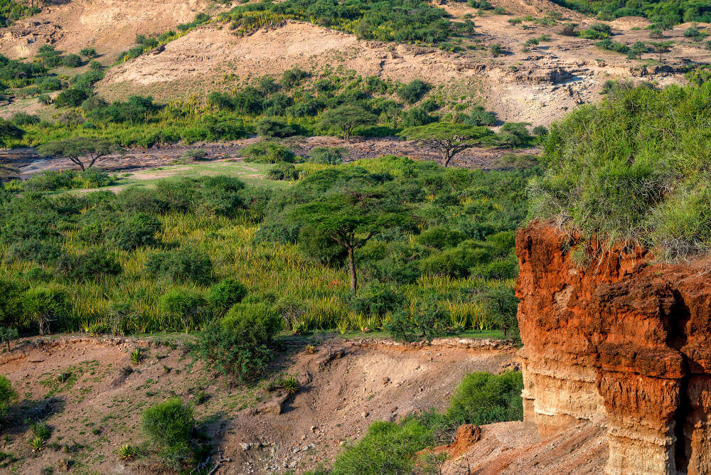 Olduvai Gorge