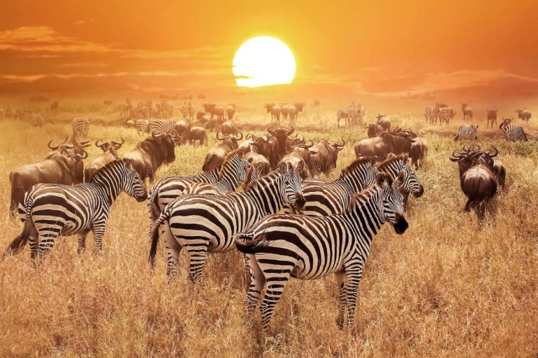 Serengeti National Park