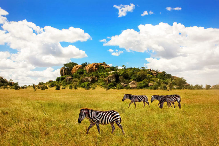 Serengeti National Park